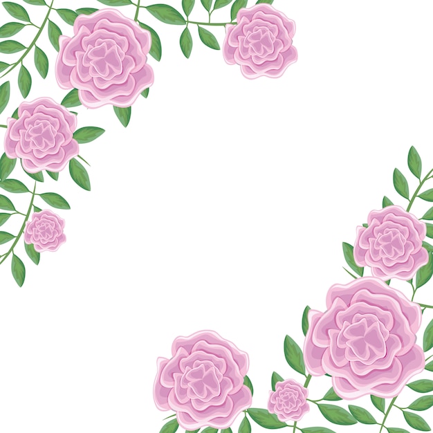 Elegant Floral Frame with Vibrant Pink Roses | Jiffy Designs