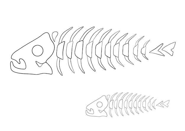 Minimalist Fish Skeleton Graphic Illustration | Jiffy Designs