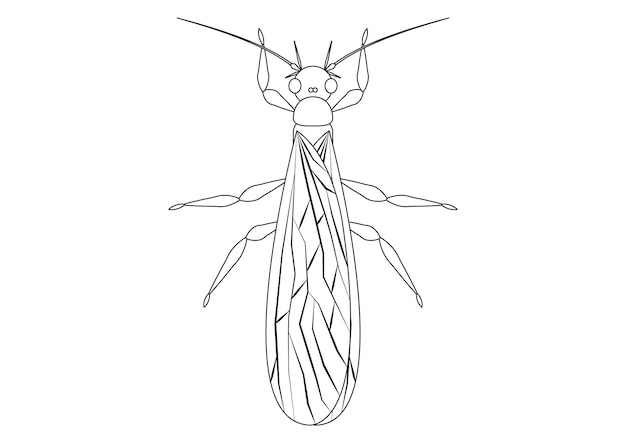 Intricately Detailed Sketch of a Majestic Winged Insect | Jiffy Designs