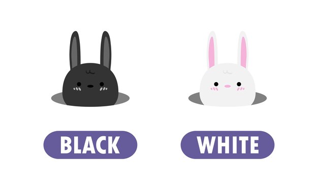 Charming Bunny Duo: Black and White Rabbits | Jiffy Designs