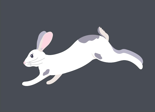 Playful White Rabbit Leaping Across the Frame | Jiffy Designs