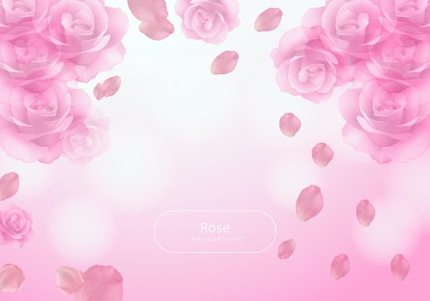 Delicate Pink Roses with Floating Petals Background Illustration ...