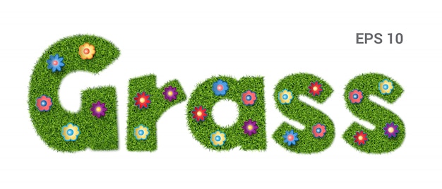 Lush Grass Lettering with Vibrant Floral Accents | Jiffy Designs