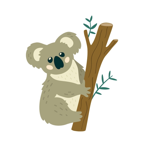 Adorable Koala Clinging to Eucalyptus Tree Branch | Jiffy Designs