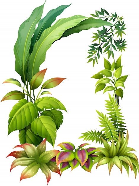 Vibrant Tropical Foliage Arrangement with Lush Green Leaves | Jiffy Designs