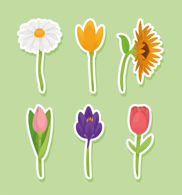 Vibrant Floral Sticker Collection with Diverse Blooms and Colors ...