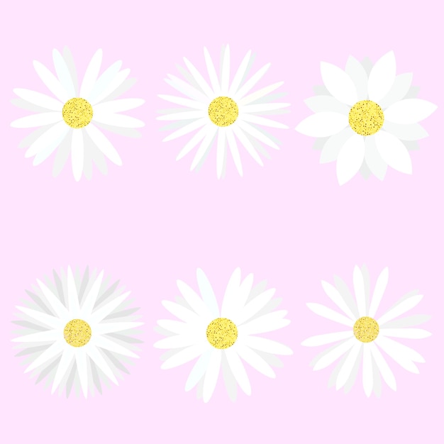 Delicate Daisy Pattern on Pastel Pink Background | Jiffy Designs