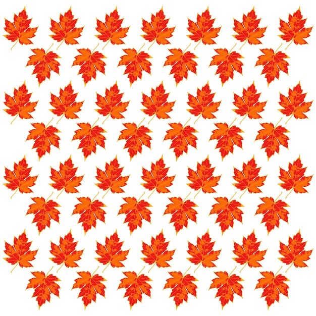 Vibrant Autumn Maple Leaf Pattern on Light Background | Jiffy Designs