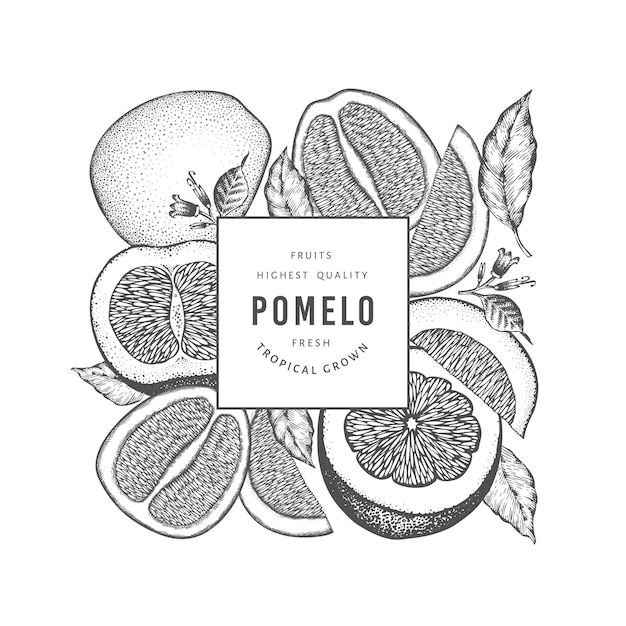 Vibrant Pomelo Citrus Fruit Illustration with Leaves | Jiffy Designs