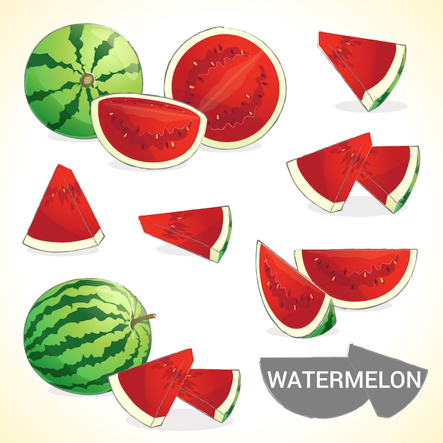 Vibrant Watermelon Slices and Whole Fruit Illustration | Jiffy Designs