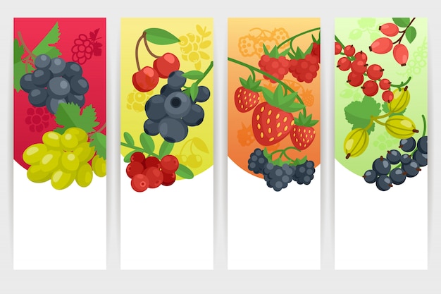 Vibrant Berry and Fruit Illustrations - A Colorful Collection | Jiffy ...