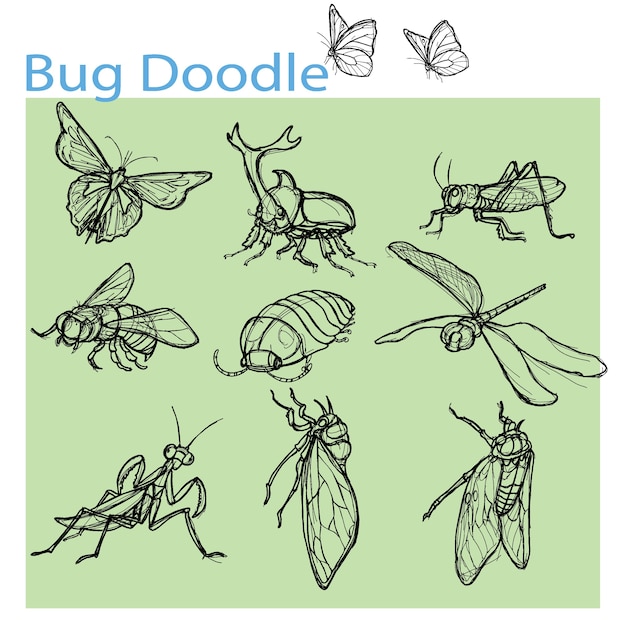 Whimsical Collection of Hand-Drawn Bug Doodles and Insects | Jiffy Designs