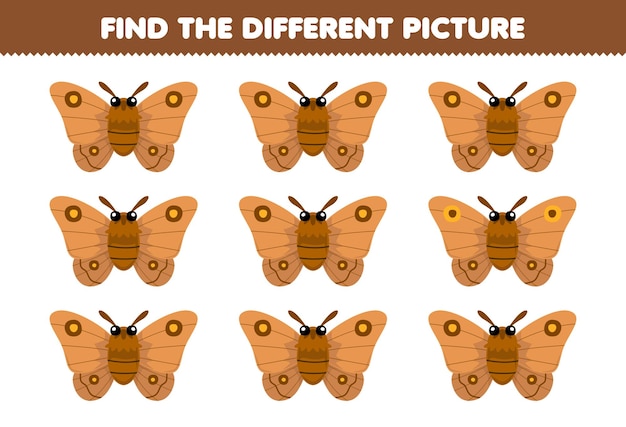 Vibrant Butterfly Collection: Spot the Unique Differences | Jiffy Designs