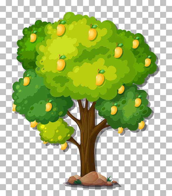 Vibrant Mango Tree with Ripe Fruit | Jiffy Designs