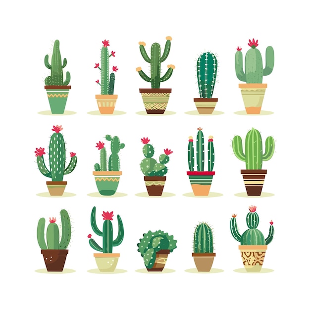 Cartoon cactus flat collection white clean background | Jiffy Designs