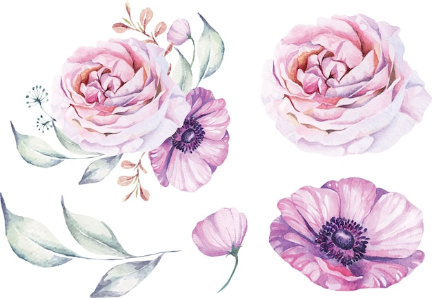 Elegant Floral Collection of Delicate Pink Roses and Anemones | Jiffy ...