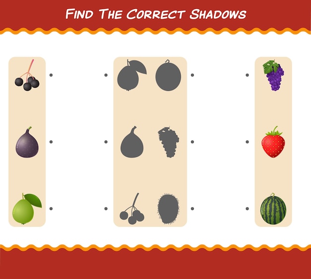 Discover the Matching Shadows of Vibrant Fruits and Vegetables | Jiffy ...