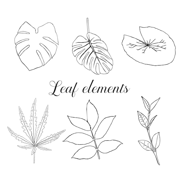 Elegant Collection of Diverse Leaf Elements for Design | Jiffy Designs