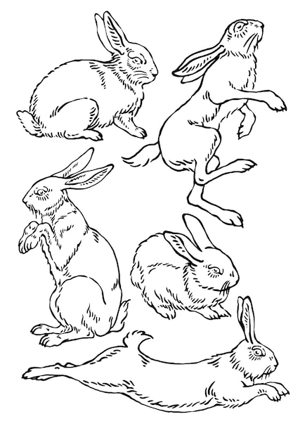 Whimsical Collection of Rabbits in Motion | Jiffy Designs