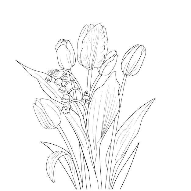 Elegant Tulip Bouquet: A Delicate Floral Line Drawing | Jiffy Designs