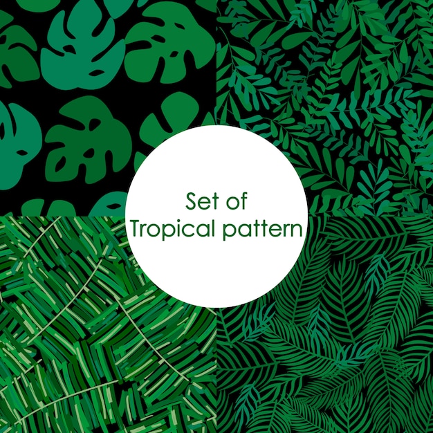 Vibrant Tropical Leaves and Fronds Pattern Collection | Jiffy Designs