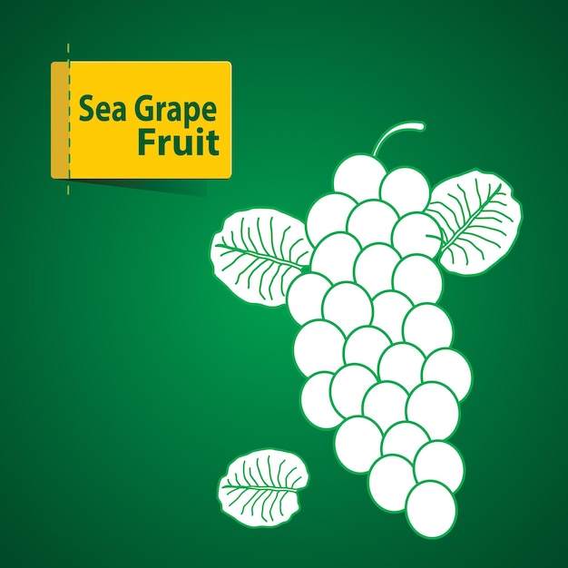 Vibrant Cluster of Sea Grape Fruit on Lush Green Background | Jiffy Designs