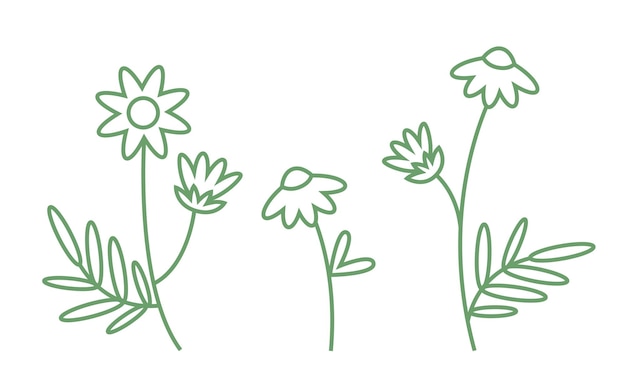 Simple Green Floral Line Art Illustration | Jiffy Designs