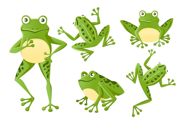 Charming Collection of Cheerful Green Frogs | Jiffy Designs