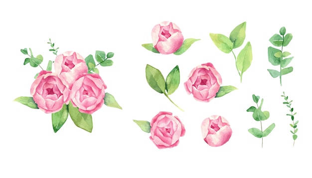 Delicate Pink Roses and Lush Green Foliage | Jiffy Designs