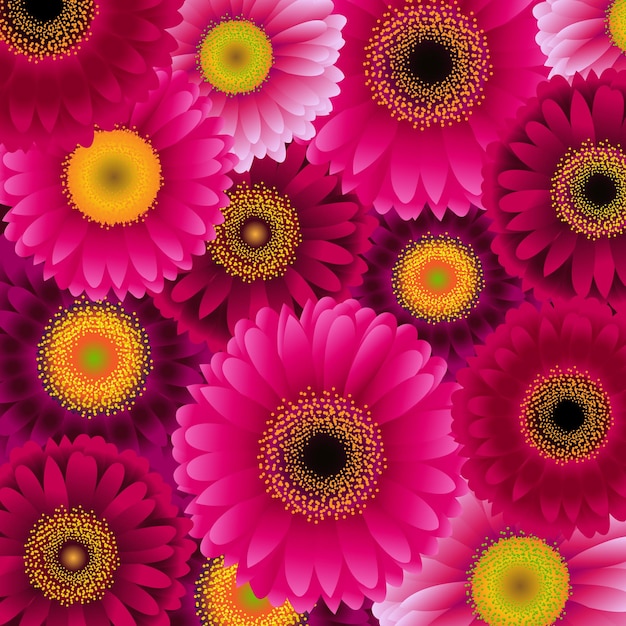 Vibrant Gerbera Daisy Flower Collection in Shades of Pink and Yellow ...
