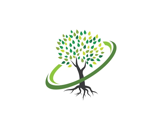 Vibrant Tree with Flourishing Foliage and Swirling Roots | Jiffy Designs