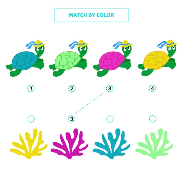 Vibrant Turtle Collection: Matching Colors and Patterns | Jiffy Designs