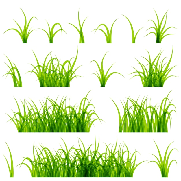 Lush Green Grass and Reeds Illustration Collection | Jiffy Designs