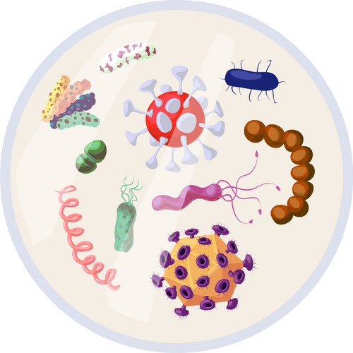 Antibacterial Sign Set. Bacteria Kill Symbol. Control Infection. Germ ...