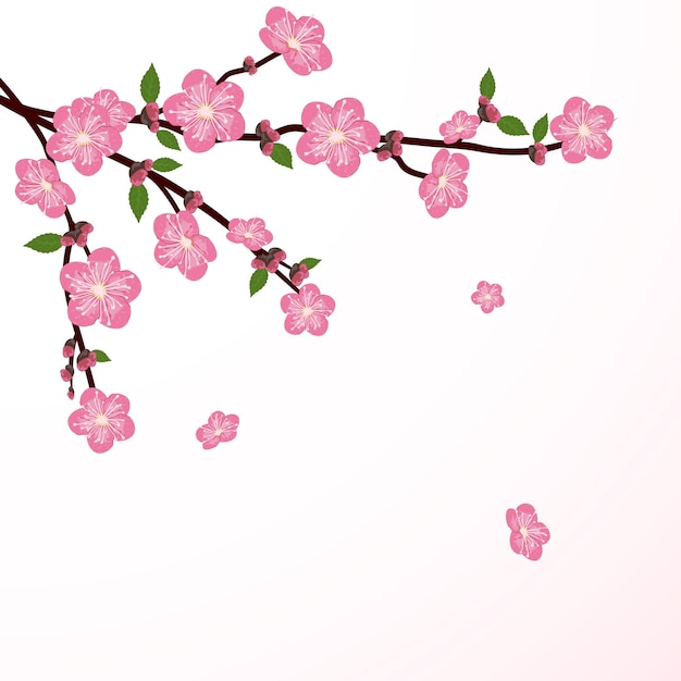 Delicate Pink Cherry Blossom Branches with Falling Petals | Jiffy Designs
