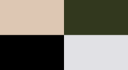 Mosaic