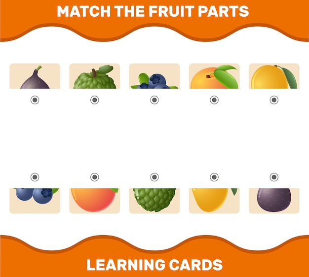 Diverse Fruit Parts Matching Learning Cards | Jiffy Designs