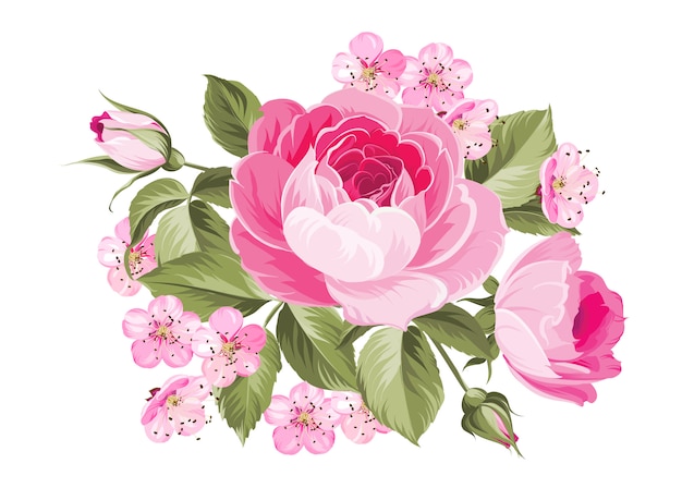 Vibrant Pink Roses and Blossoms Floral Illustration | Jiffy Designs
