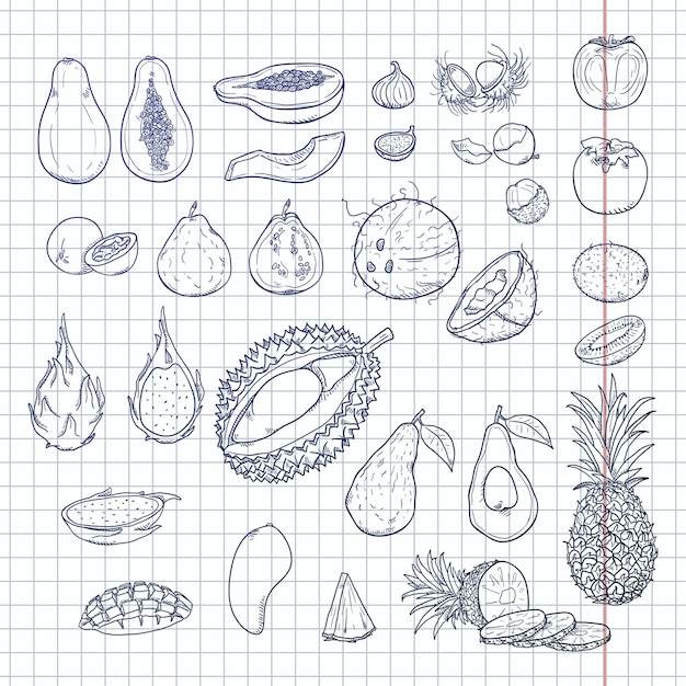 Diverse Collection of Exotic Fruits and Vegetables on Graph Paper ...