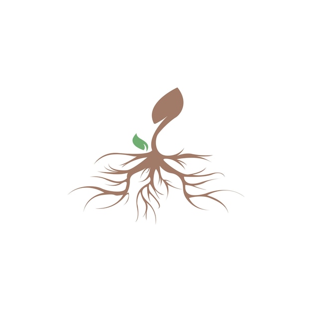 Vibrant Seedling with Intricate Root System | Jiffy Designs
