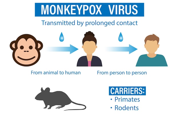 Monkeypox Virus Transmission: From Animals to Humans, Person-to-Person ...