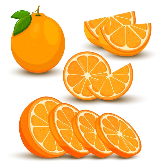 Vibrant Orange Citrus Delight: A Juicy Feast for the Senses | Jiffy Designs