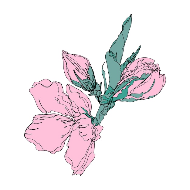 Vibrant Floral Bouquet with Soft Pink Blooms | Jiffy Designs