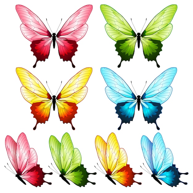 Vibrant Butterfly Illustrations Collection with Diverse Color Palettes ...