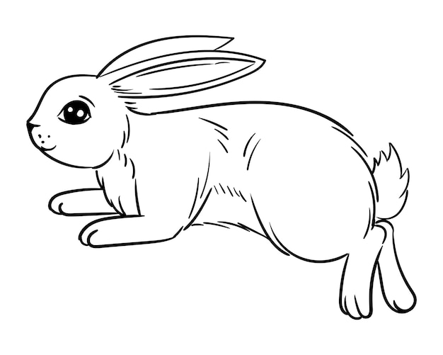 Outlined Rabbit Illustration with Long Ears and Cute Expression | Jiffy ...
