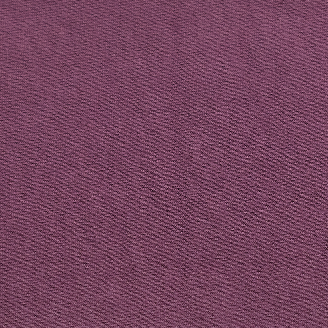 ComfortWash by Hanes GDH200 Purple Plum Raisin
