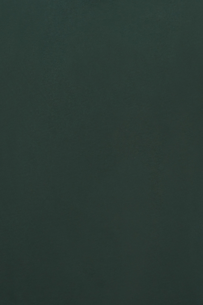 Alternative AA1070 Varsity Green