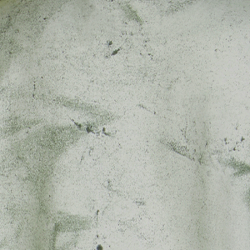 Comfort Colors CC1545 Fern