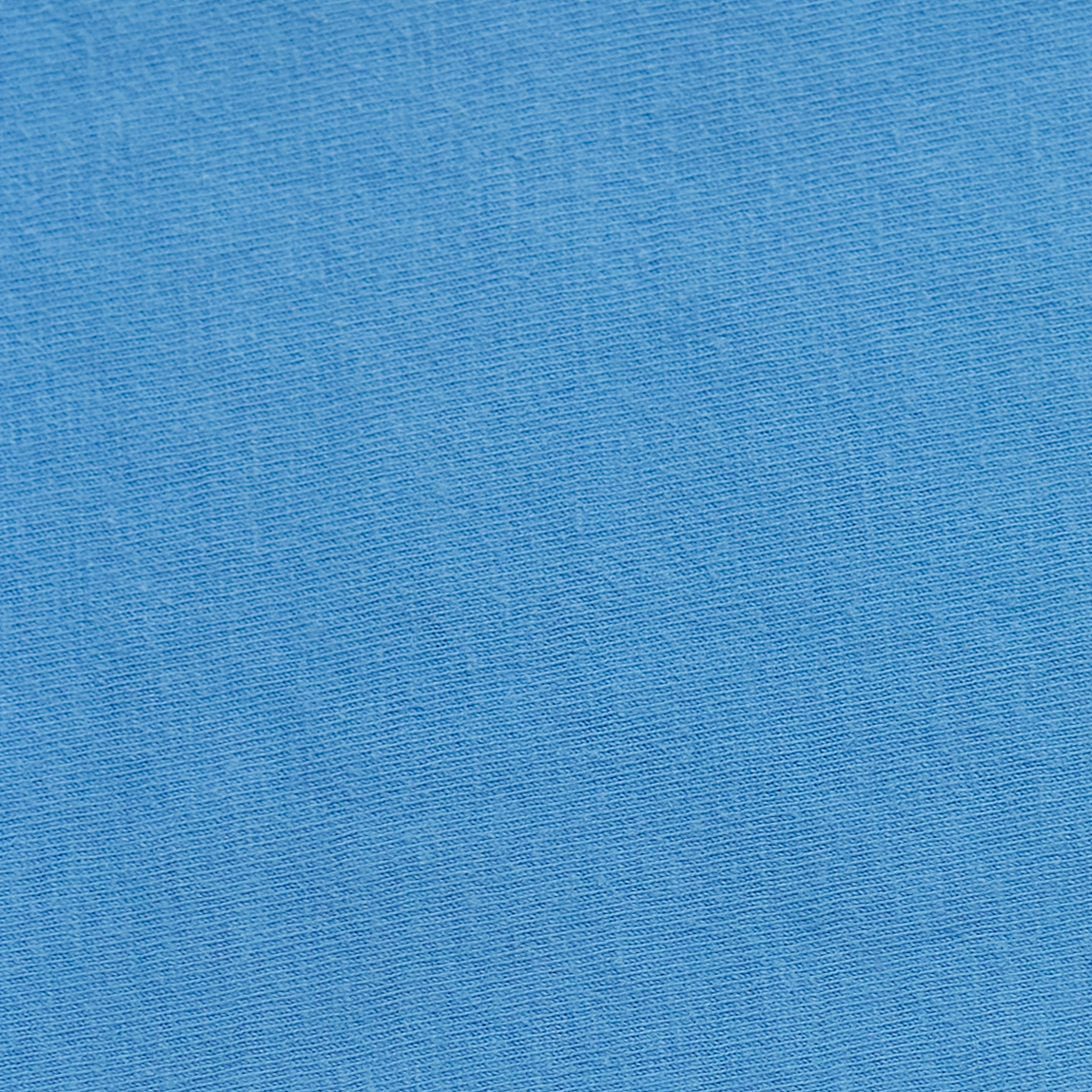 Champion CD100J1 Delicate Blue