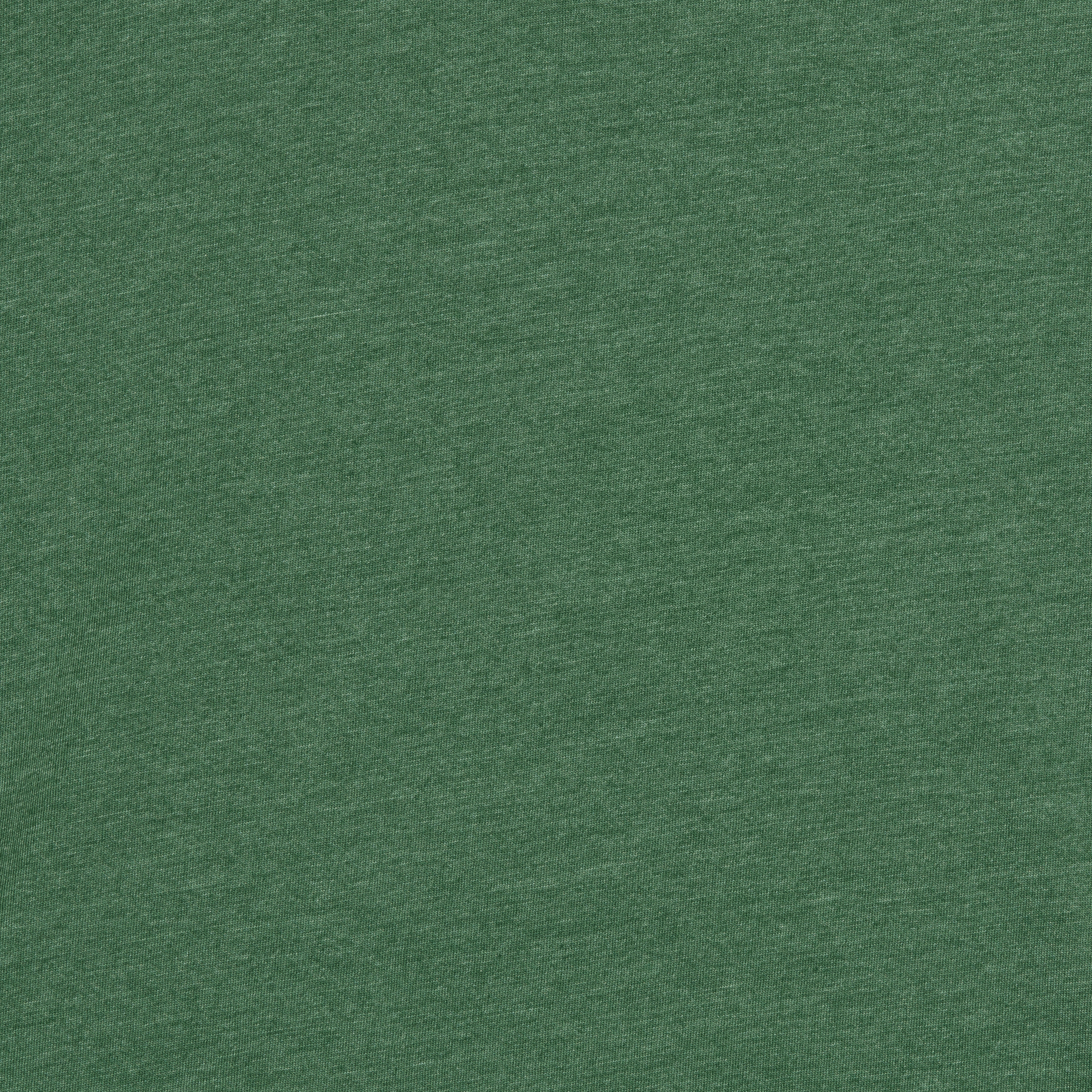 Bella + Canvas 3001YCVC Heather Grass Green